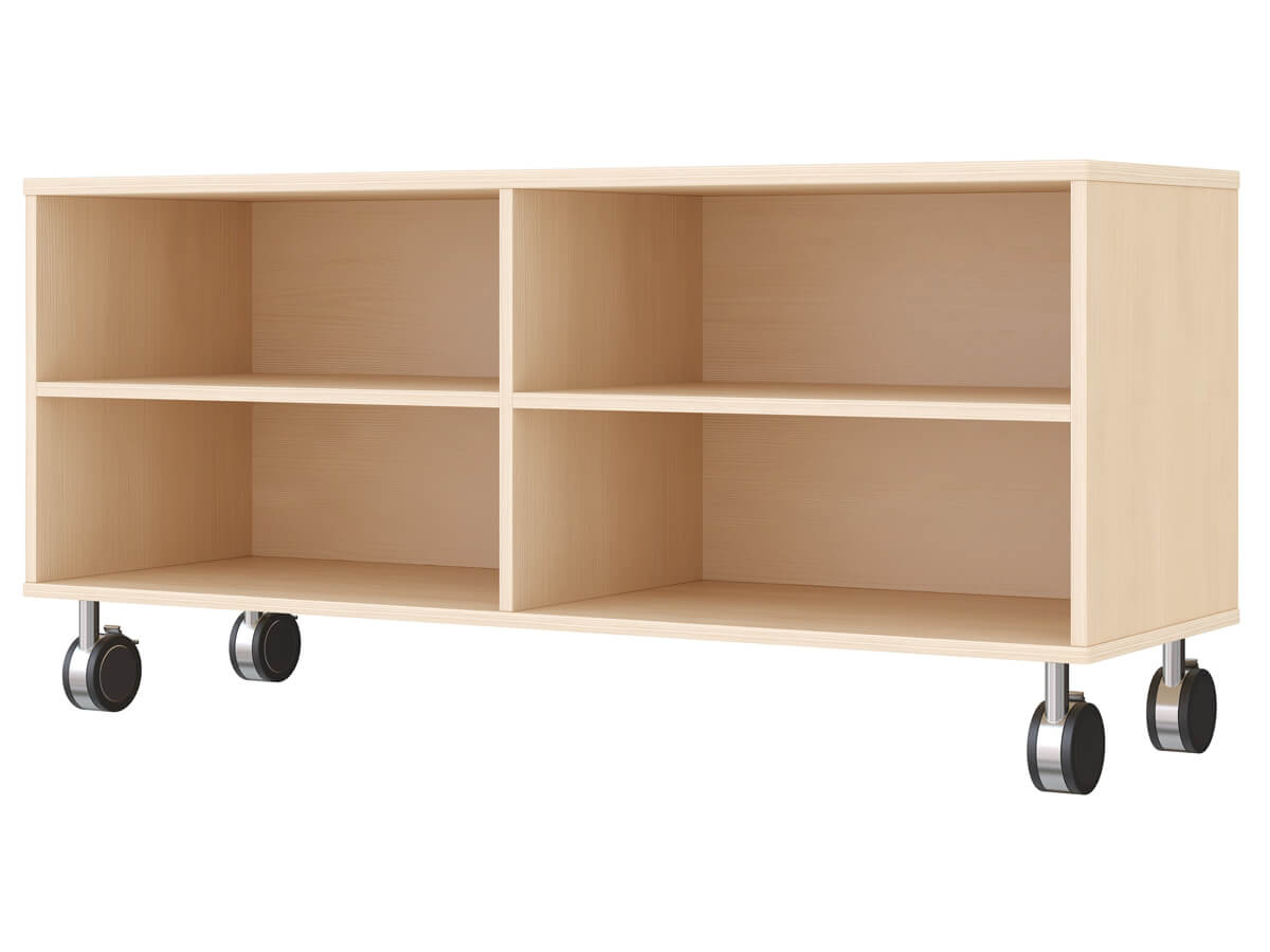 Doppel-Regalschrank-mitFeststellrollen