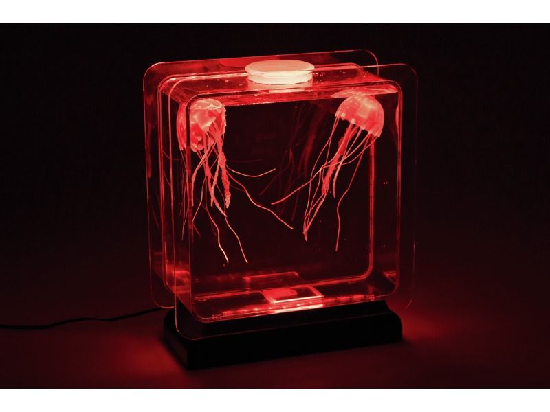 Lava Aquarium Lampe – Sinneslampe für Snoezelen & Therapie