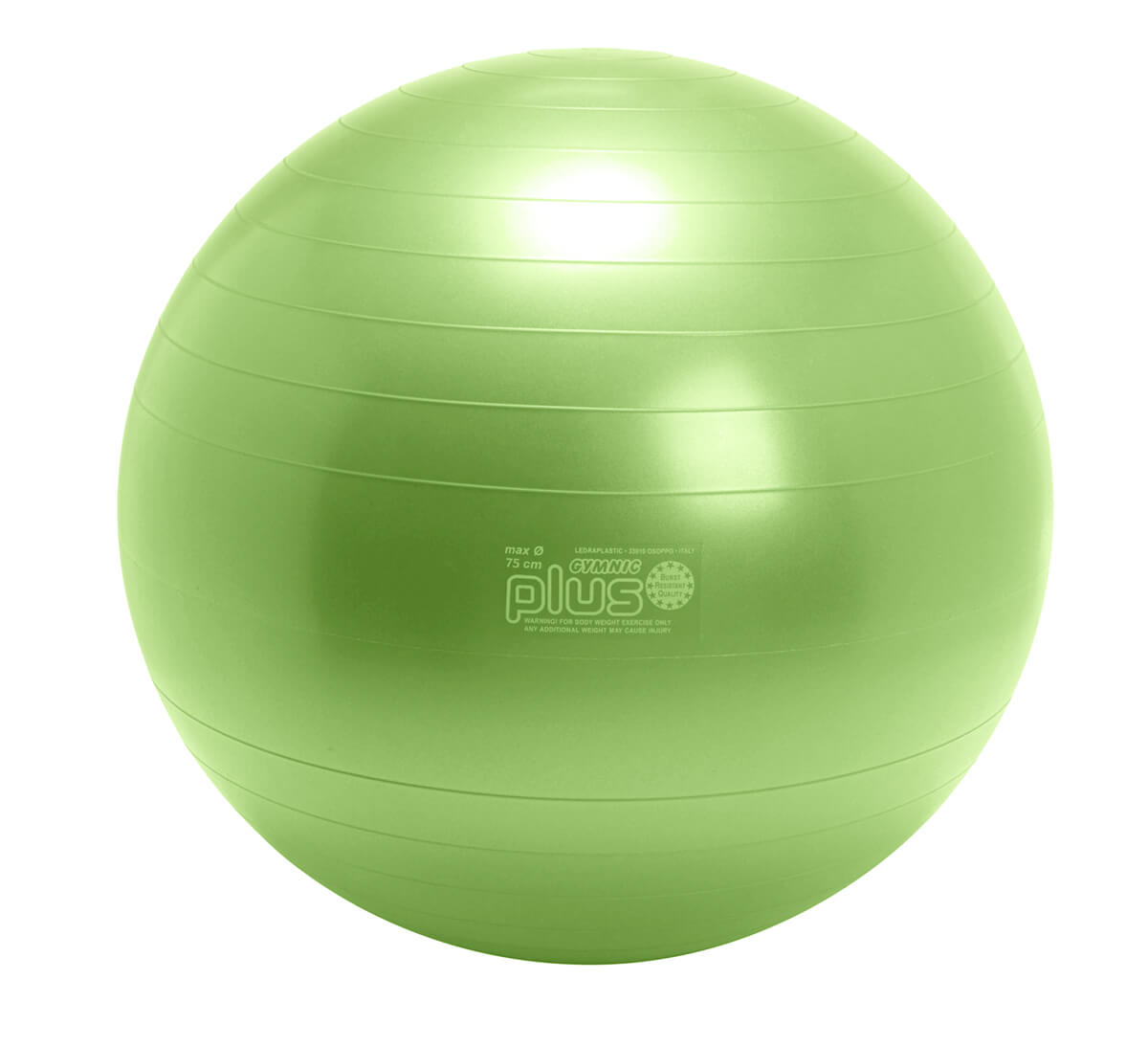 Physiotherapie Ball therapieball