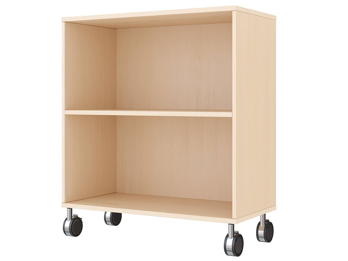 Regalschrank-mobil-auf-rollen-2-feacher