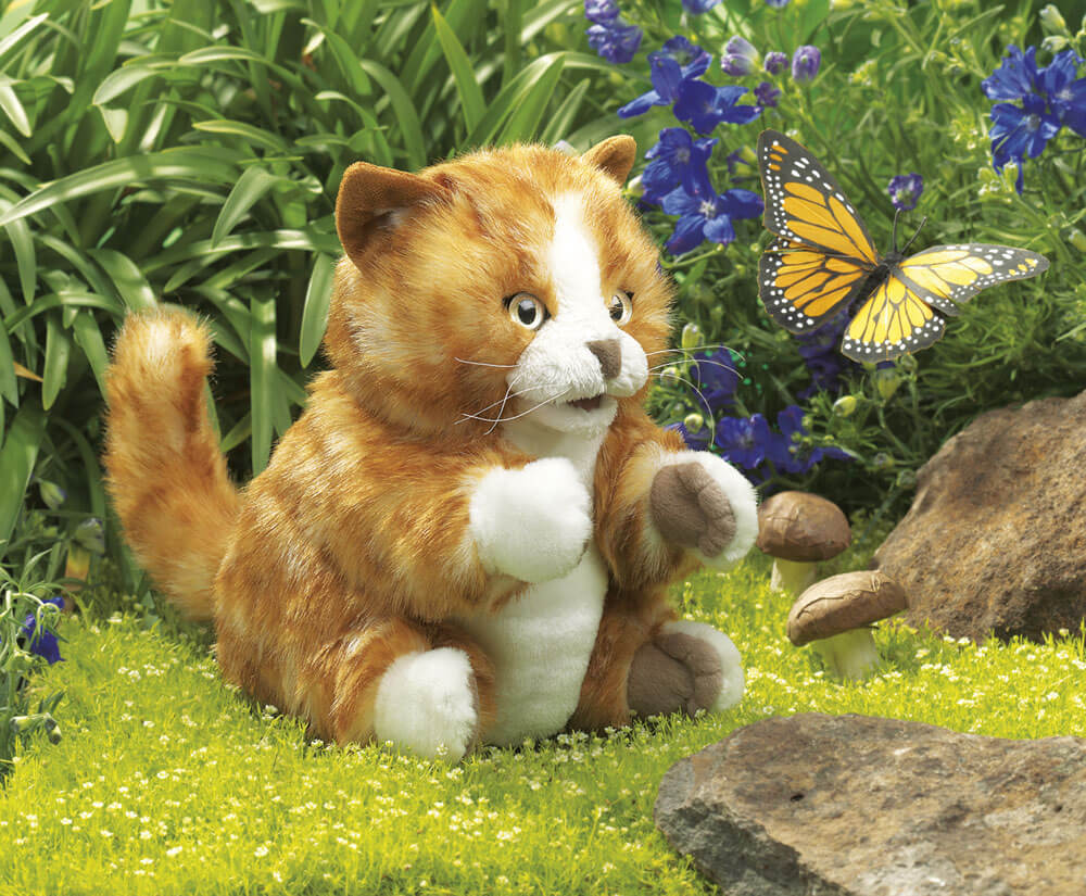 Katzenbaby