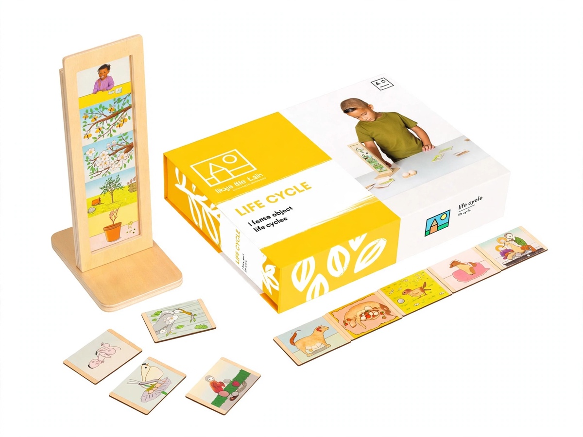 Kartenspiel Lebenszyklus haidig shop