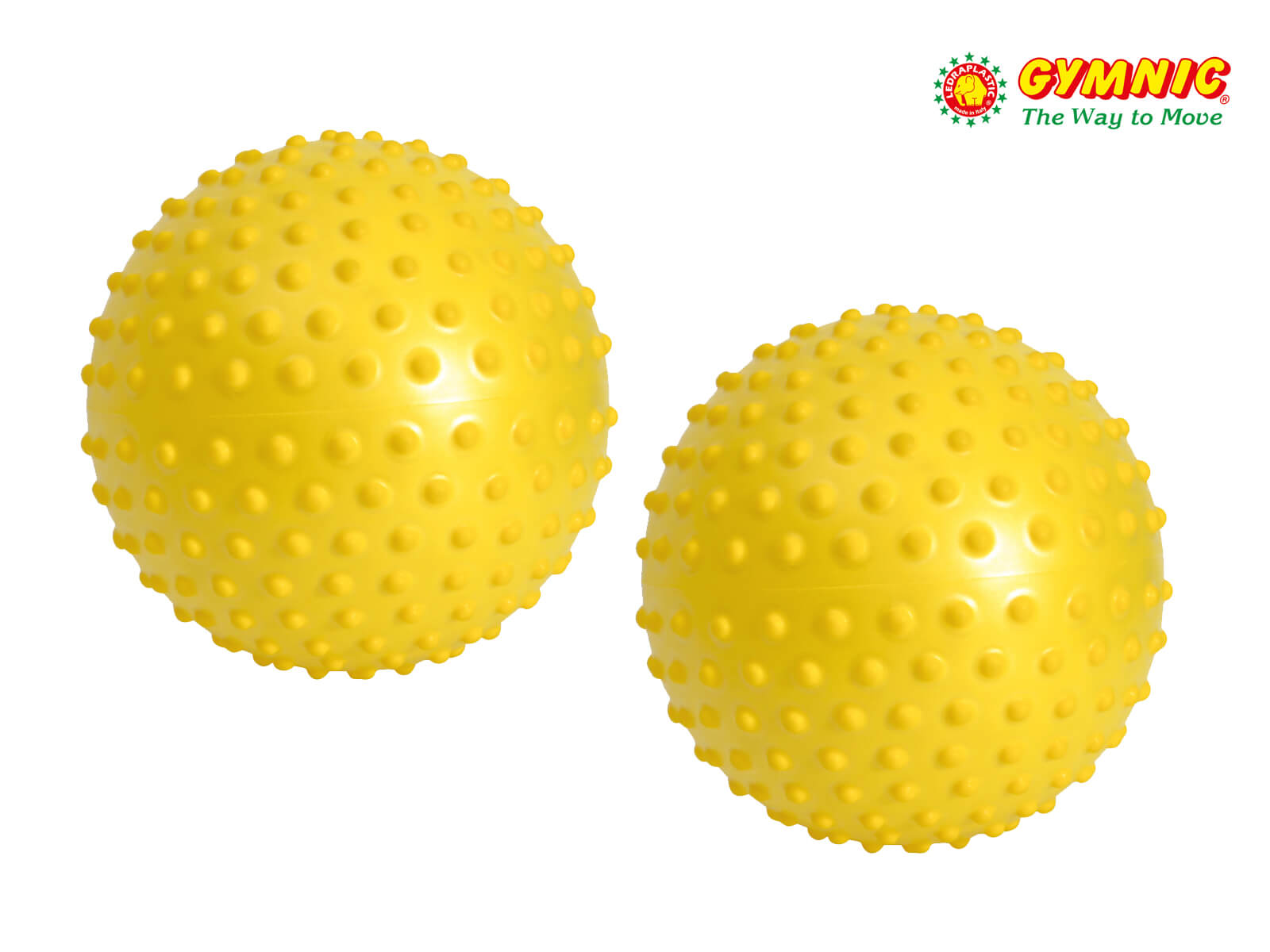 Gymnic Physio Roll Plus Gym Ball Malaysia